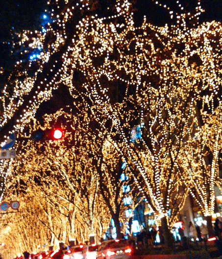 IMG_20151206_202631.jpg