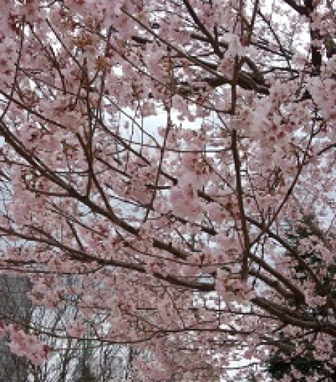 ４月
