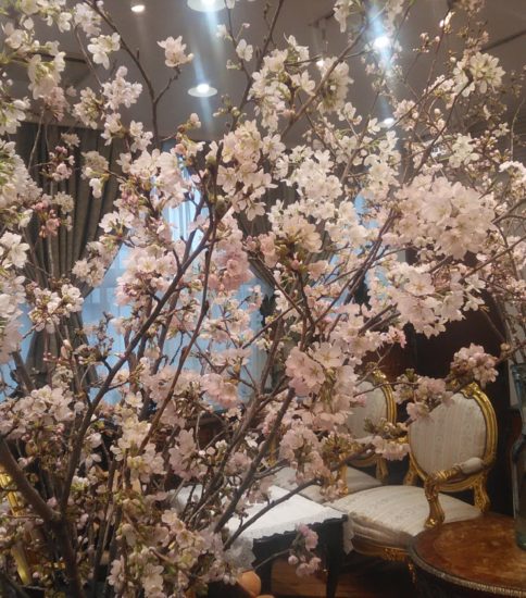 さくら