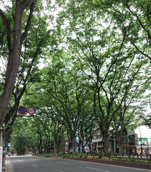 梅雨入り